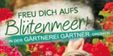 Freu dich aufs Bltenmeer!.Verkaufsoffenes Wochenende am 27. / 28. April 2024.
