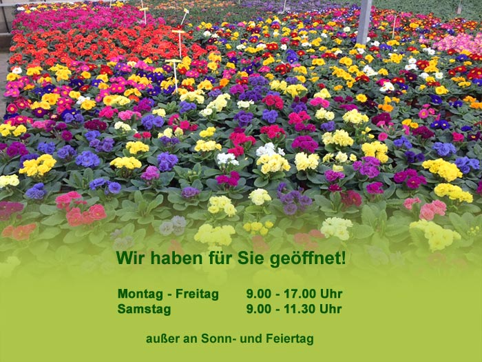 Gärtnerei Gärtner